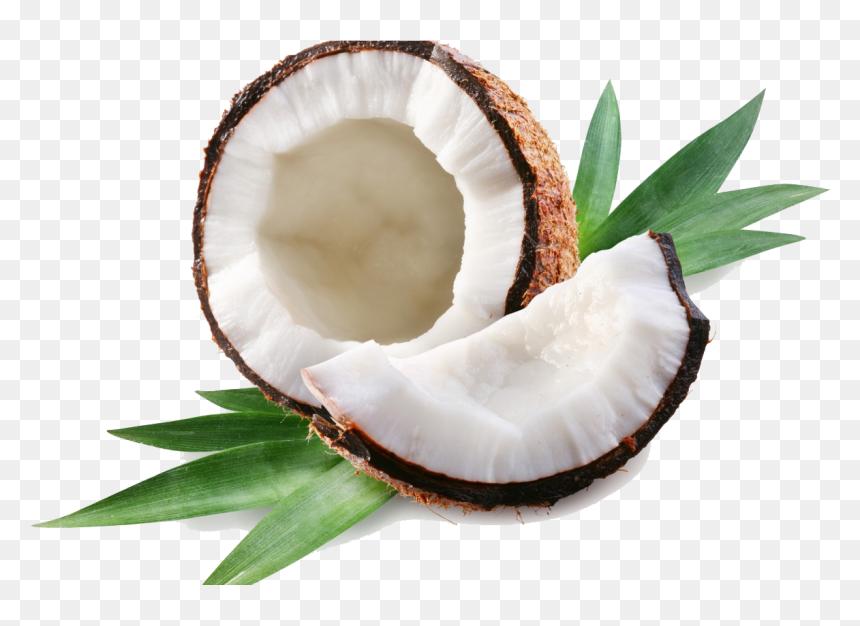 Coconut Png, Transparent Png - coconut drink png