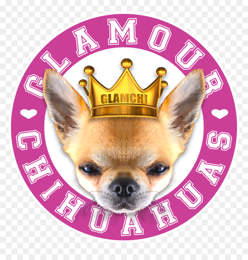 Transparent Chihuahua Png - Chihuahua, Png Download - chihuahua png