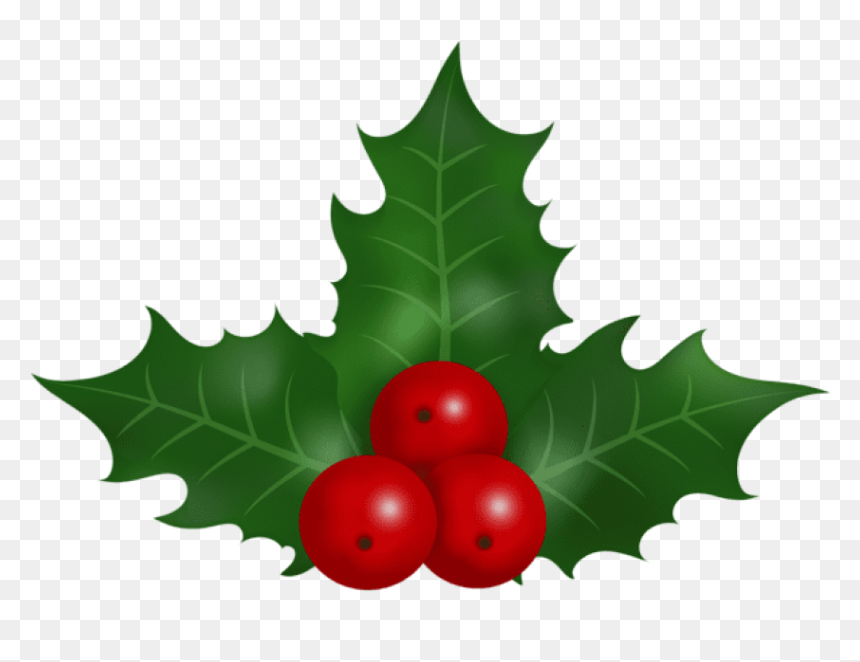 Christmas Holly Images - Illustration, HD Png Download - christmas holly png
