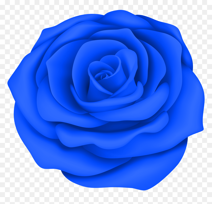Blue Rose Png , Png Download, Transparent Png - blue rose png