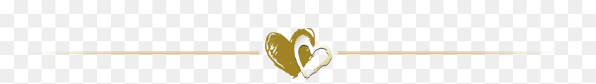 Divider Random Things Through Letterbox The Last Night - Illustration, HD Png Download - gold line png