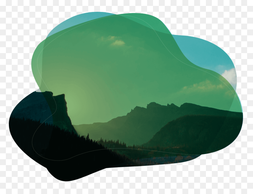Tree , Png Download - Tree, Transparent Png - small tree png