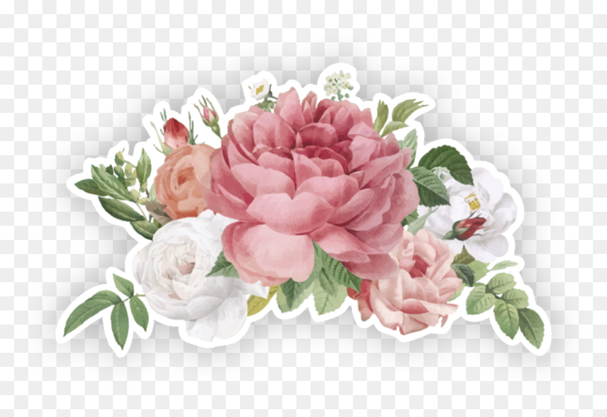 Garden Roses - Blooming Roses Png, Transparent Png - pink crown png