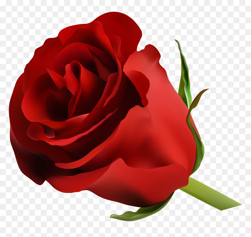 Red Rose Png Clip Art Image Pinterest, Transparent Png - blue rose png