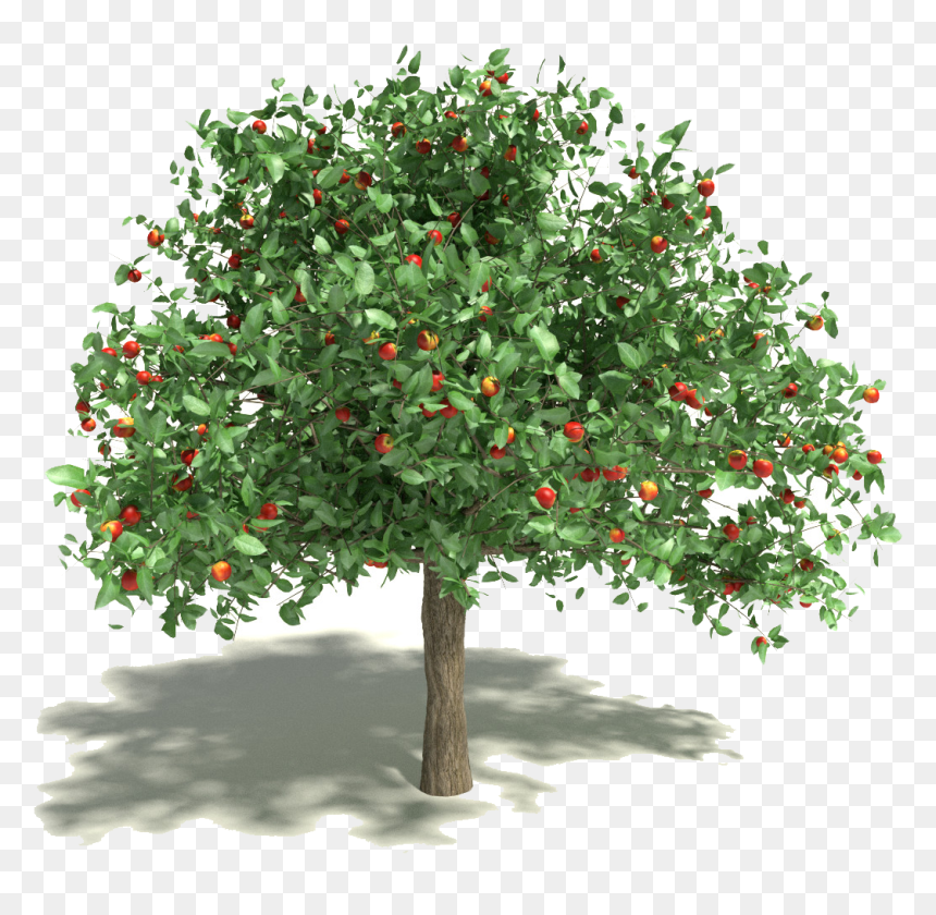 Spring Cleaning Kwik-tap Guide - Martin Luther King Apple Tree, HD Png Download - small tree png