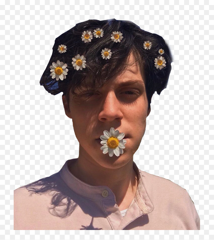 #jeyjeygardi #aesthetic #flower #flowers #png #freetoedit - Jeyjey Gardi, Transparent Png - flowers.png