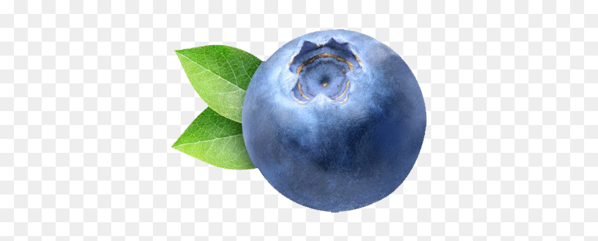 Blueberry Png Clipart - Blueberry Png, Transparent Png - blueberries png