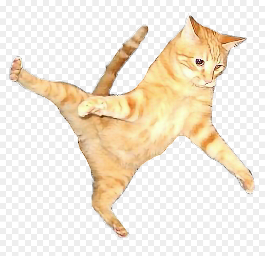 Cat Flying Flyingcat Orangecat Orange Color Play - Cat Png Jump, Transparent Png - cat.png