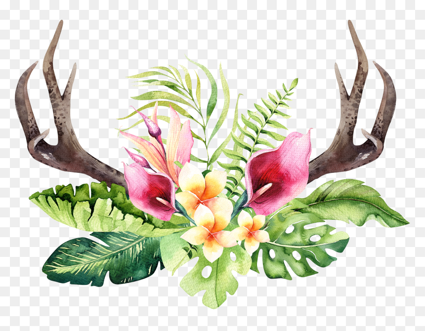 Transparent Floral Antler Clipart - Tropical Flower Transparent Background, HD Png Download - flowers.png
