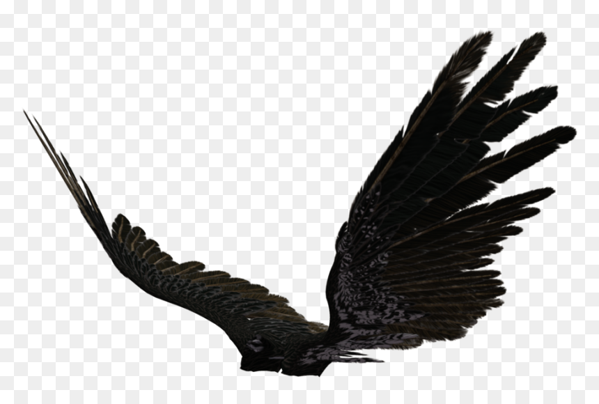 Dark Angel Wings Png - Angel Wings Black Png, Transparent Png - black wings png