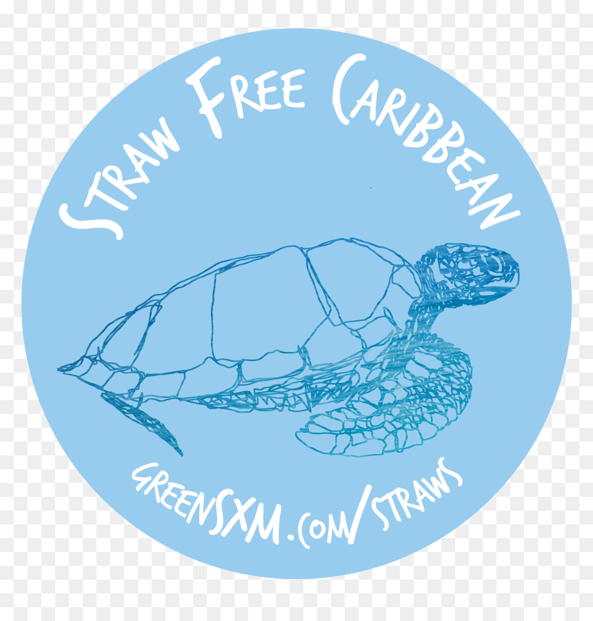 Green Sea Turtle, HD Png Download - straw png