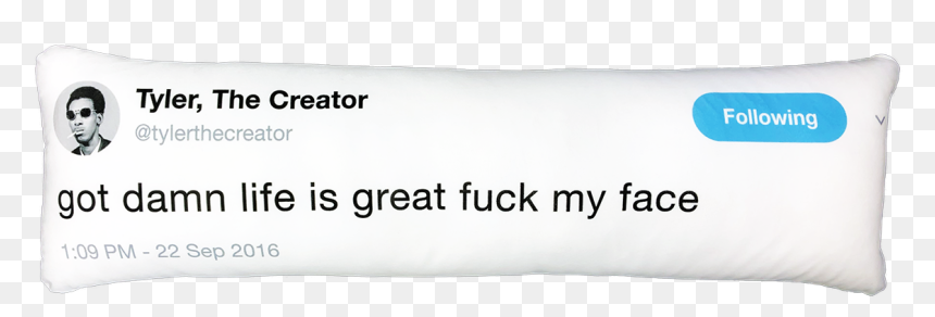 Tyler The Creator Tweet Pillow, HD Png Download - tyler the creator png