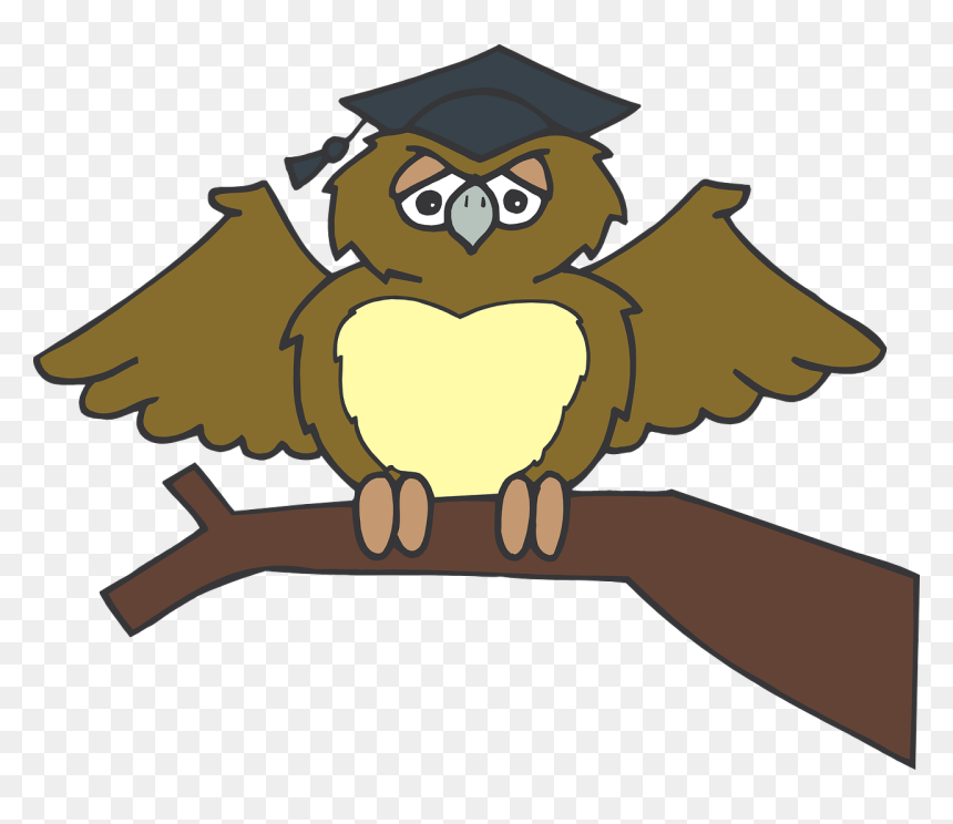 Gufo Laurea Png, Transparent Png - graduate png