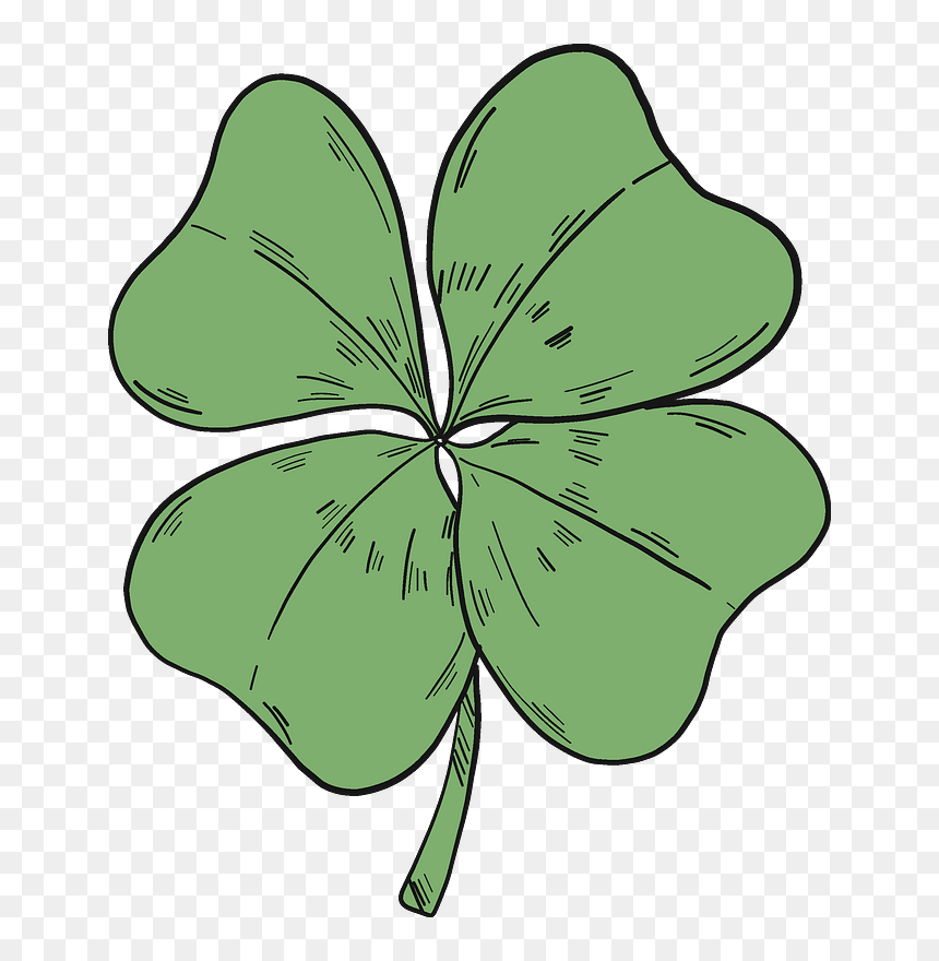 Gilliflower, HD Png Download - 4 leaf clover png
