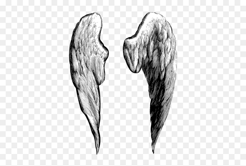 Sketch, HD Png Download - black wings png