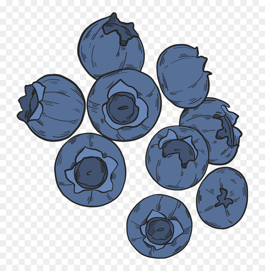 Blueberries Clipart - Blueberry, HD Png Download - blueberries png