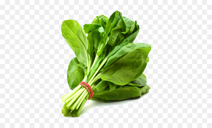 Spinach Png Free Download - Penis Enlargement Herbal Food, Transparent Png - spinach png