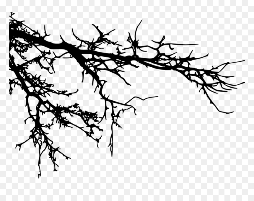 Thumb Image - Tree Branches Silhouette Png, Transparent Png - tree branch silhouette png