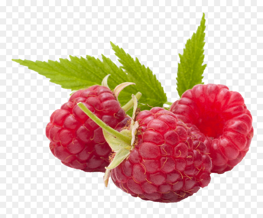 Raspberry Transparent Png Image - Raspberry Png, Png Download - raspberry png