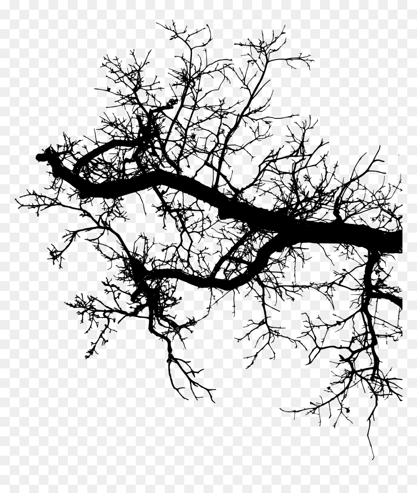 Freetoedit Tree Branch Silhouette 4trueartists Element - Siluetas De Ramas Png, Transparent Png - tree branch silhouette png