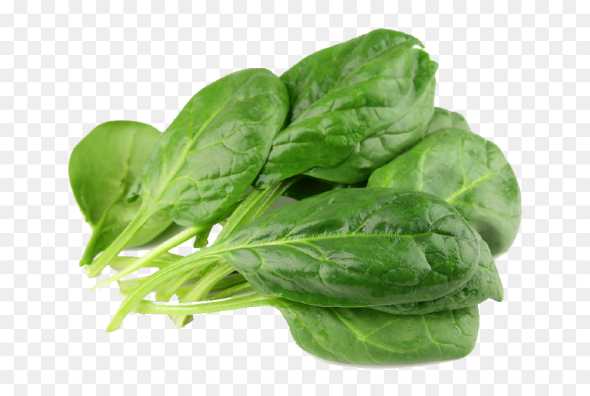 Spinach Png - Vegetable Png, Transparent Png - spinach png