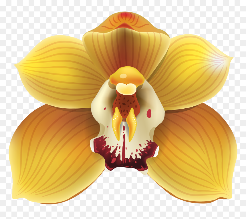Yellow Orchid Png Clipart - Transparent Orchid Clipart, Png Download - orchid png
