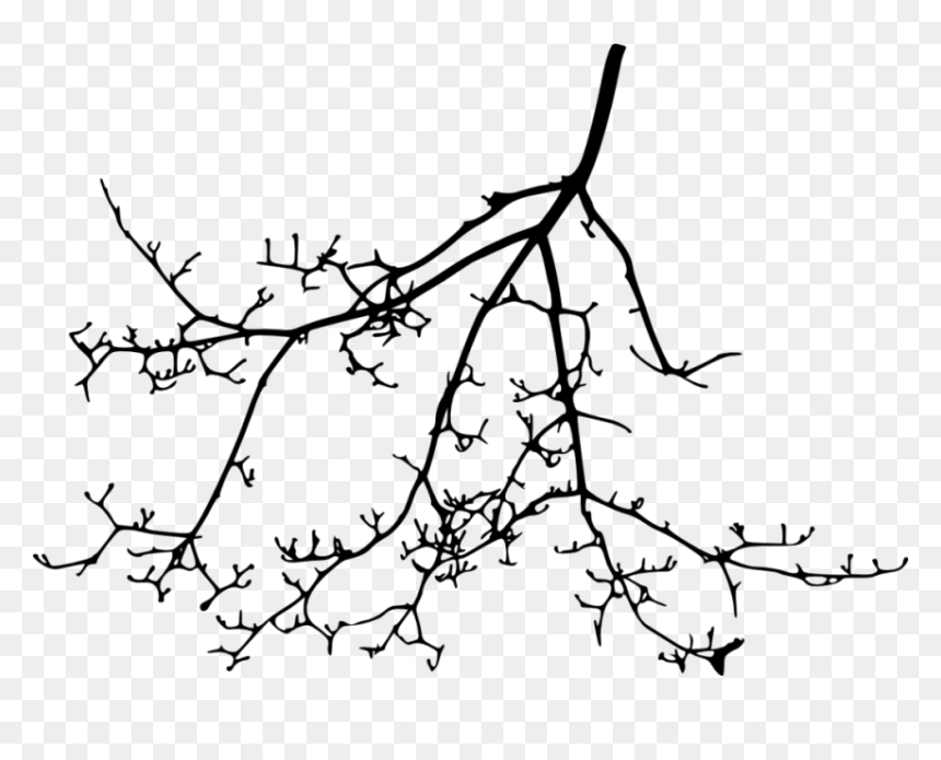 Free Png Tree Branch Silhouette Png Images Transparent- - Portable Network Graphics, Png Download - tree branch silhouette png