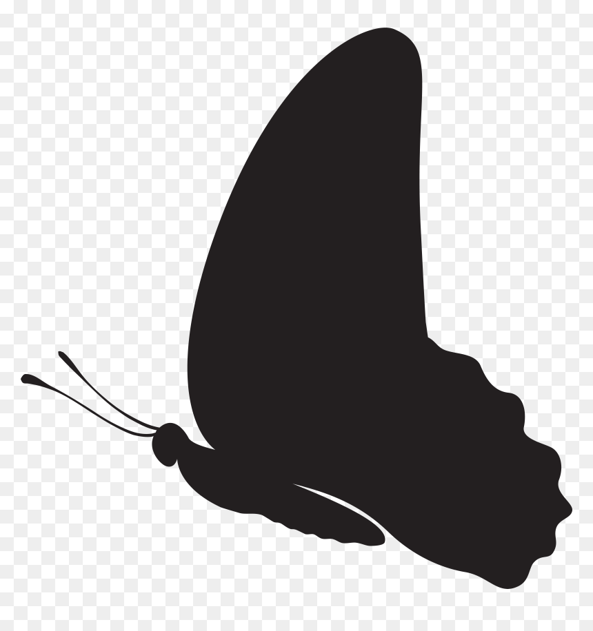 Black And White Design Silhouette Pattern, HD Png Download - butterfly silhouette png