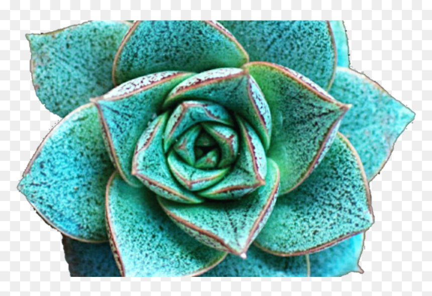 Flower Crown Clip Art Tumblr - Clip Art, HD Png Download - blue flower crown png