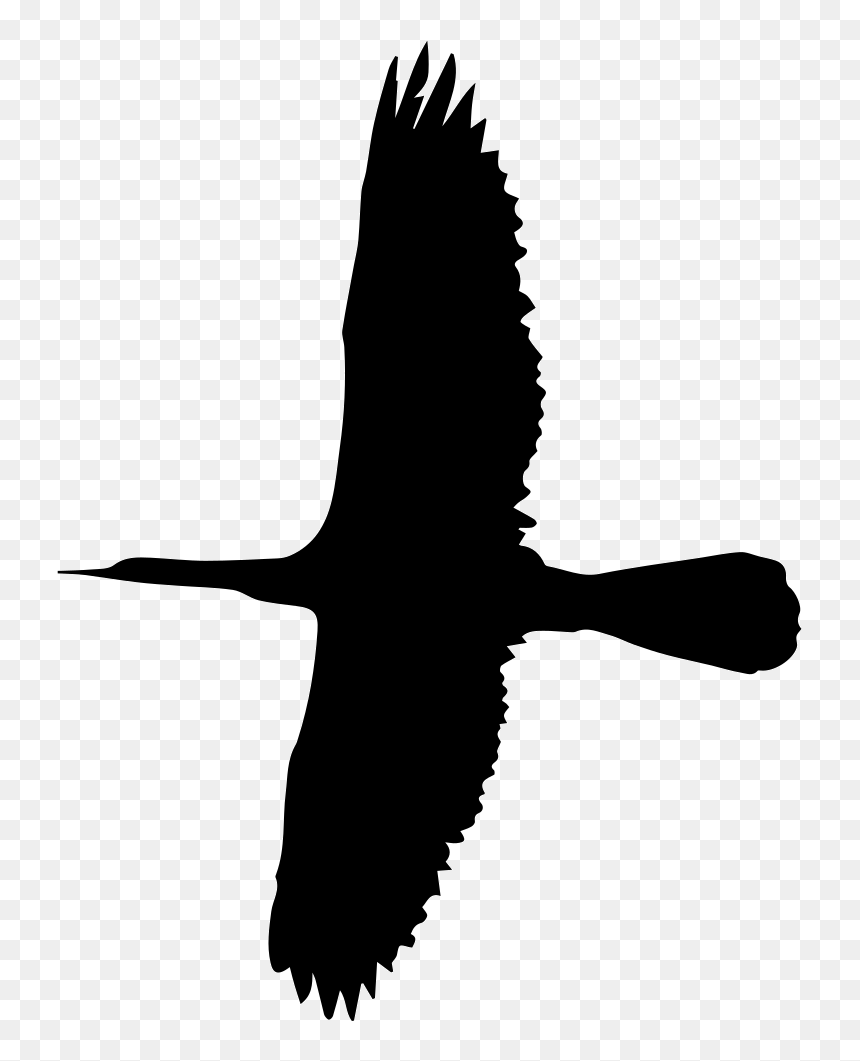 Flying Big Bird Shape - Seabird, HD Png Download - big bird png