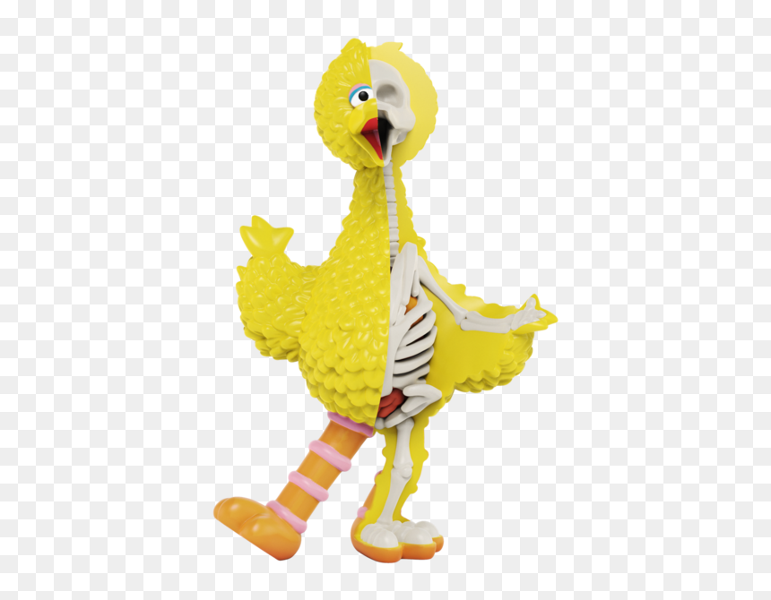 Type Of Bird Is Big Bird, HD Png Download - big bird png