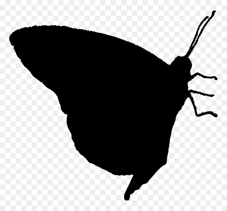 Portable Network Graphics, HD Png Download - butterfly silhouette png