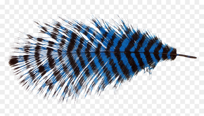 Fur Vector Ostrich Feather - Feathers Of Ostrich Png, Transparent Png - feather vector png