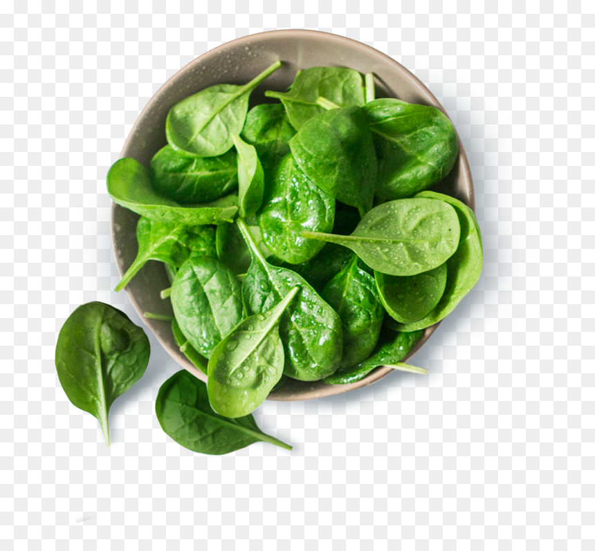 Spinach , Png Download - Spinach, Transparent Png - spinach png
