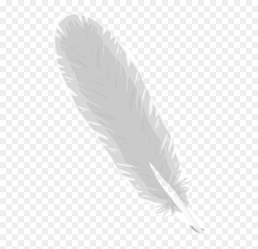 Feather Logo Png Image Download - Moths And Butterflies, Transparent Png - feather vector png