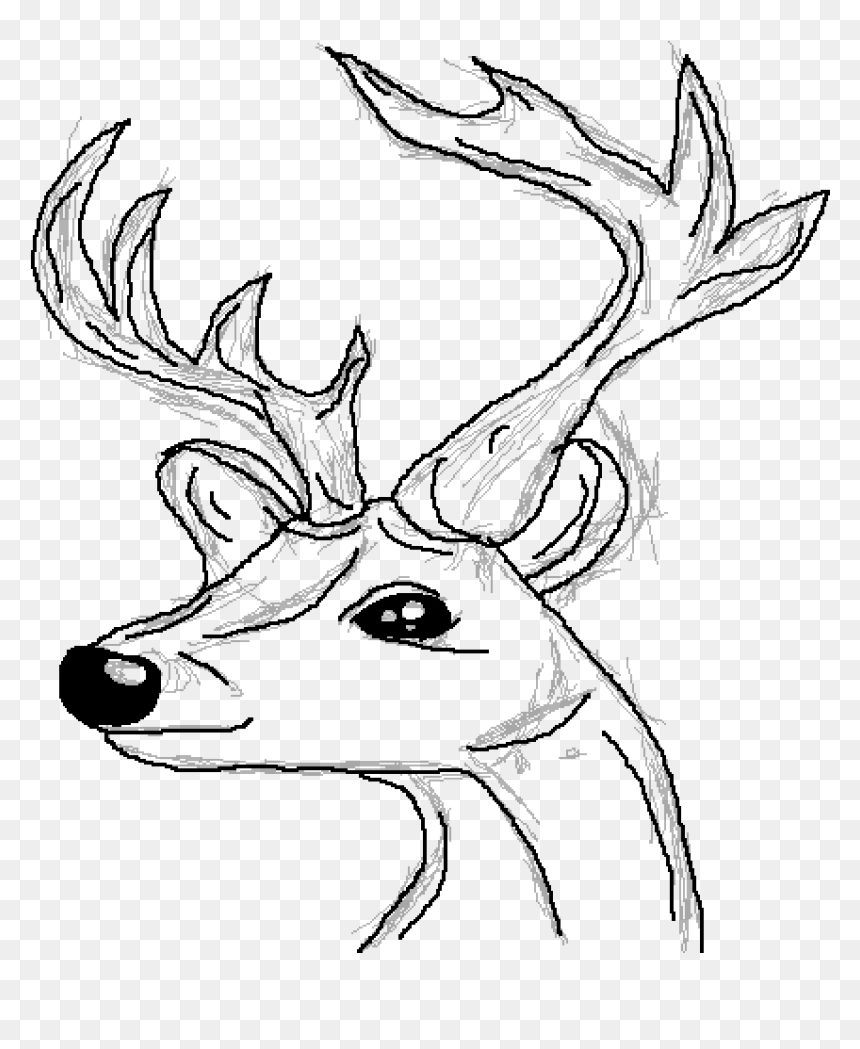 Deer Horn Drawing Deer - Elk, HD Png Download - antler png