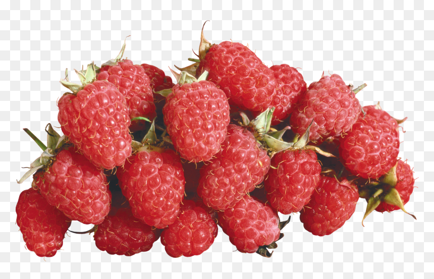 Now You Can Download Raspberry Png In High Resolution, Transparent Png - raspberry png