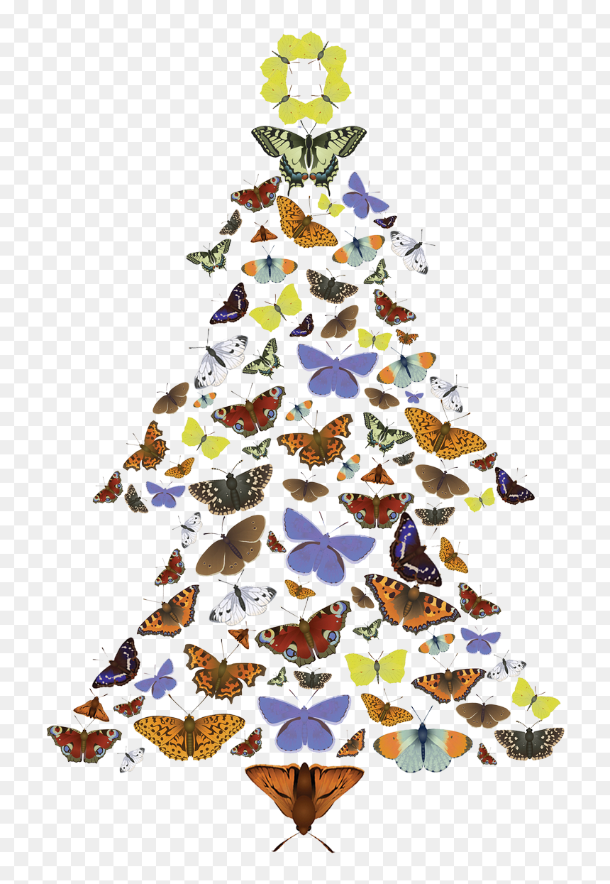 The Pine Carpet Moth Loves Scots Pine Trees , Png Download - Christmas Tree, Transparent Png - pine trees png