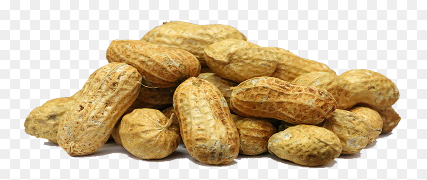 Peanut Vegetarian Cuisine Superfood - Transparent Background Peanuts Transparent, HD Png Download - nut png