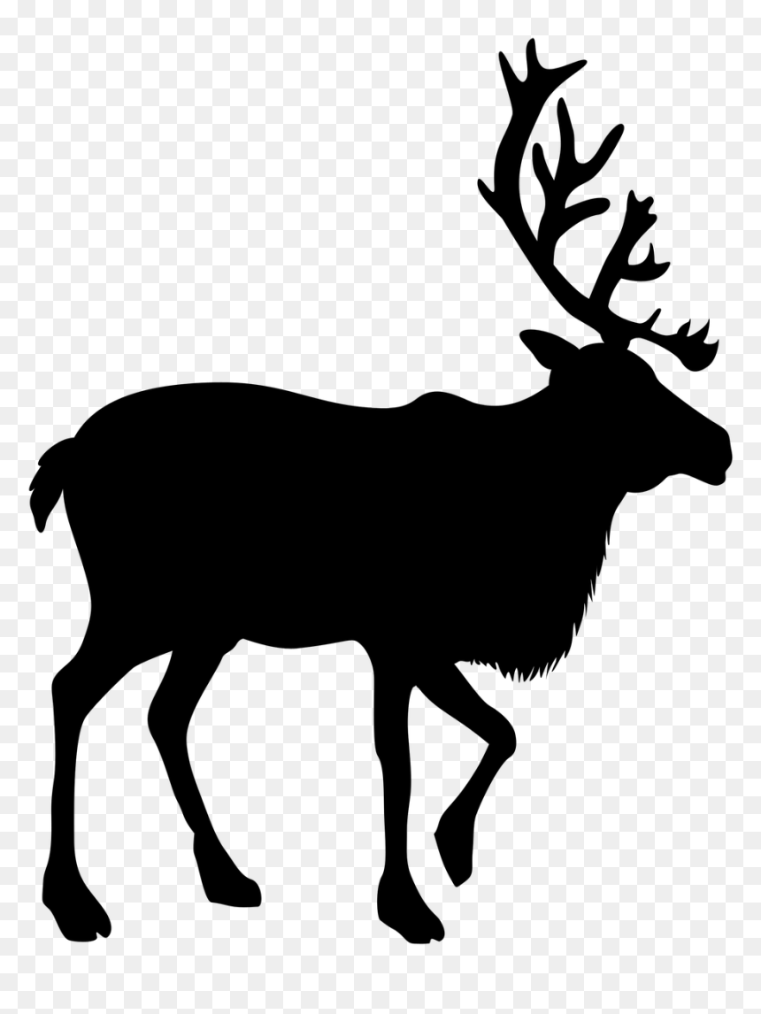 Social Distancing Poster Funny, HD Png Download - antler png