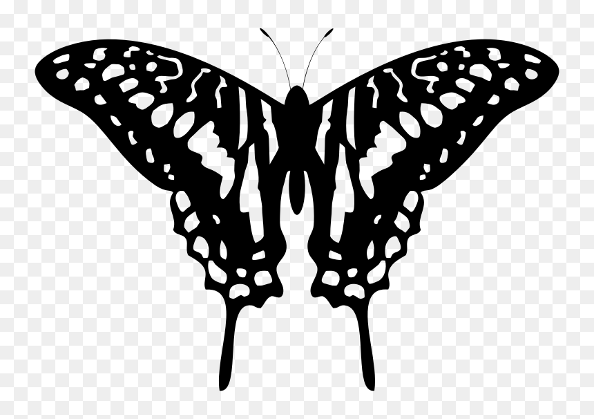 Tribal Butterfly Silhouette By Karen Arnold - Black And Grey Butterfly, HD Png Download - butterfly silhouette png