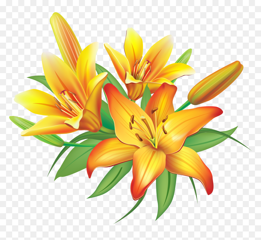 Lily Yellow Lilies Flowers Decoration Clipart Image - Lilies Clipart, HD Png Download - lily png