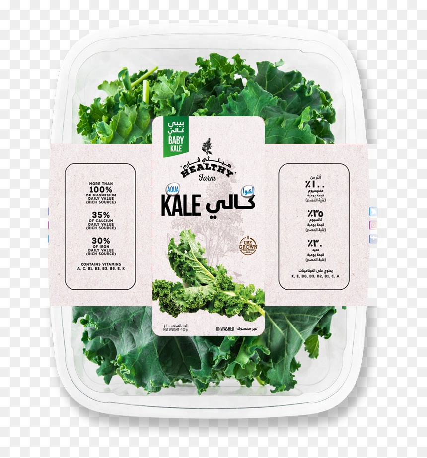 Spinach , Png Download - Spinach, Transparent Png - spinach png