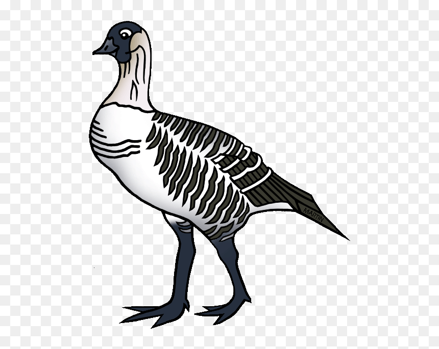 Transparent Hawaii Png - Hawaii's State Bird Clip Art, Png Download - hawaii png