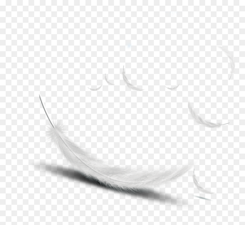 #feather#white Vector - White Feather Vector Png, Transparent Png - feather vector png