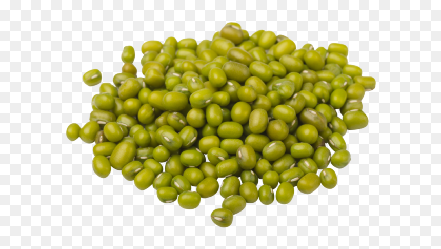 Thumb Image - Mung Bean Png, Transparent Png - bean png