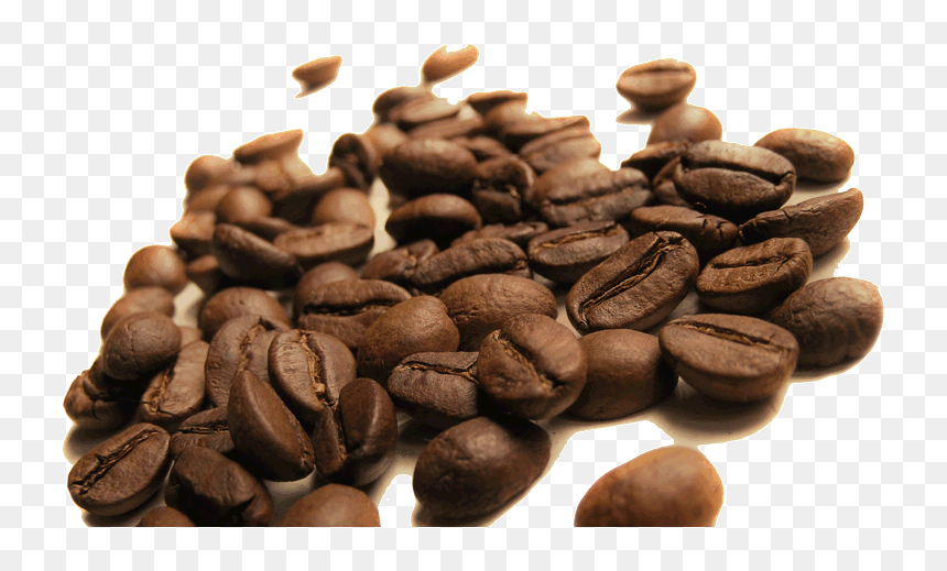 Transparent Coffee Bean Png - Brazil Flag, Png Download - coffee bean png