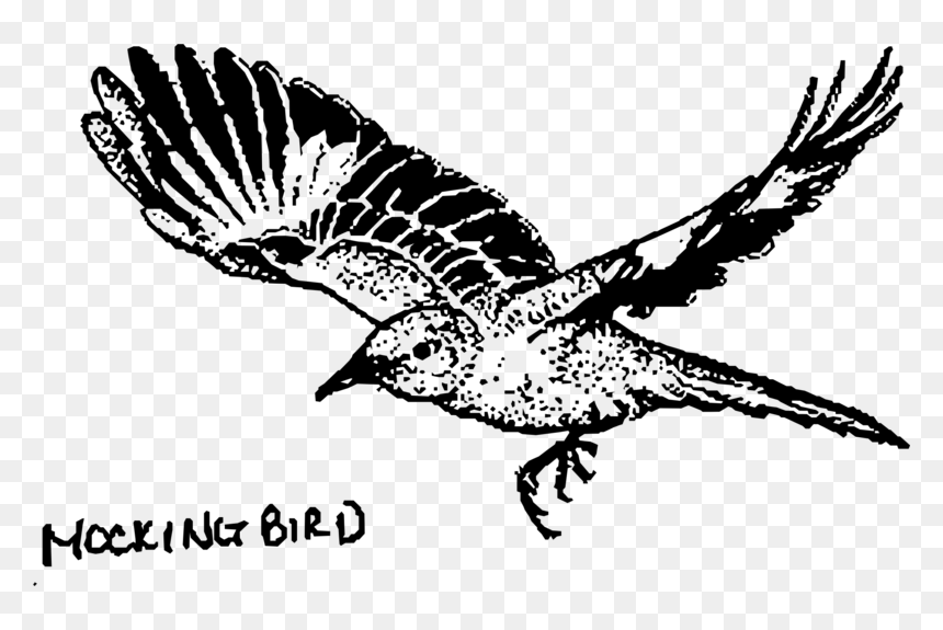 Transparent Big Bird Png - Mockingbird Png, Png Download - big bird png