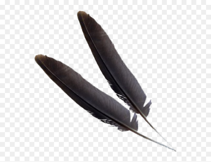 Black Png Feather Download - Feather, Transparent Png - feather vector png