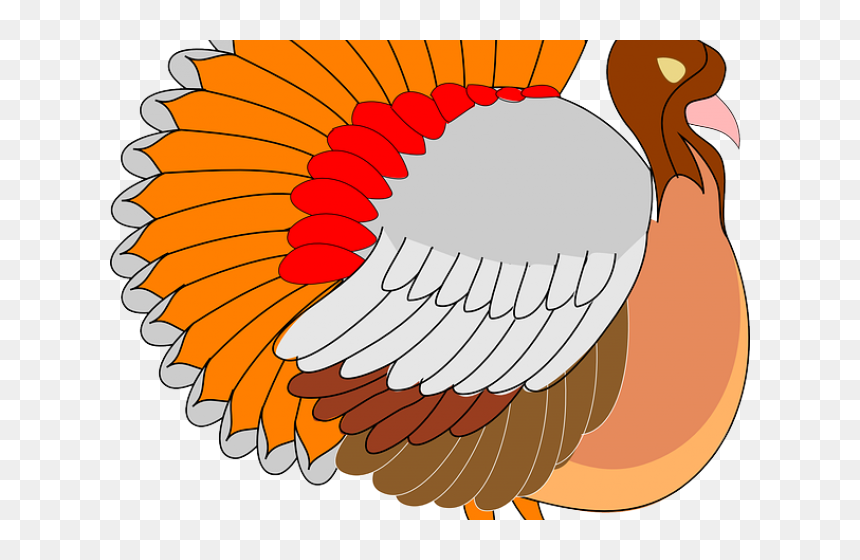 Turkey Bird Clipart Cornucopia - Thanksgiving Bike, HD Png Download - cornucopia png